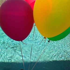 Meet your Posher, Rhiannon